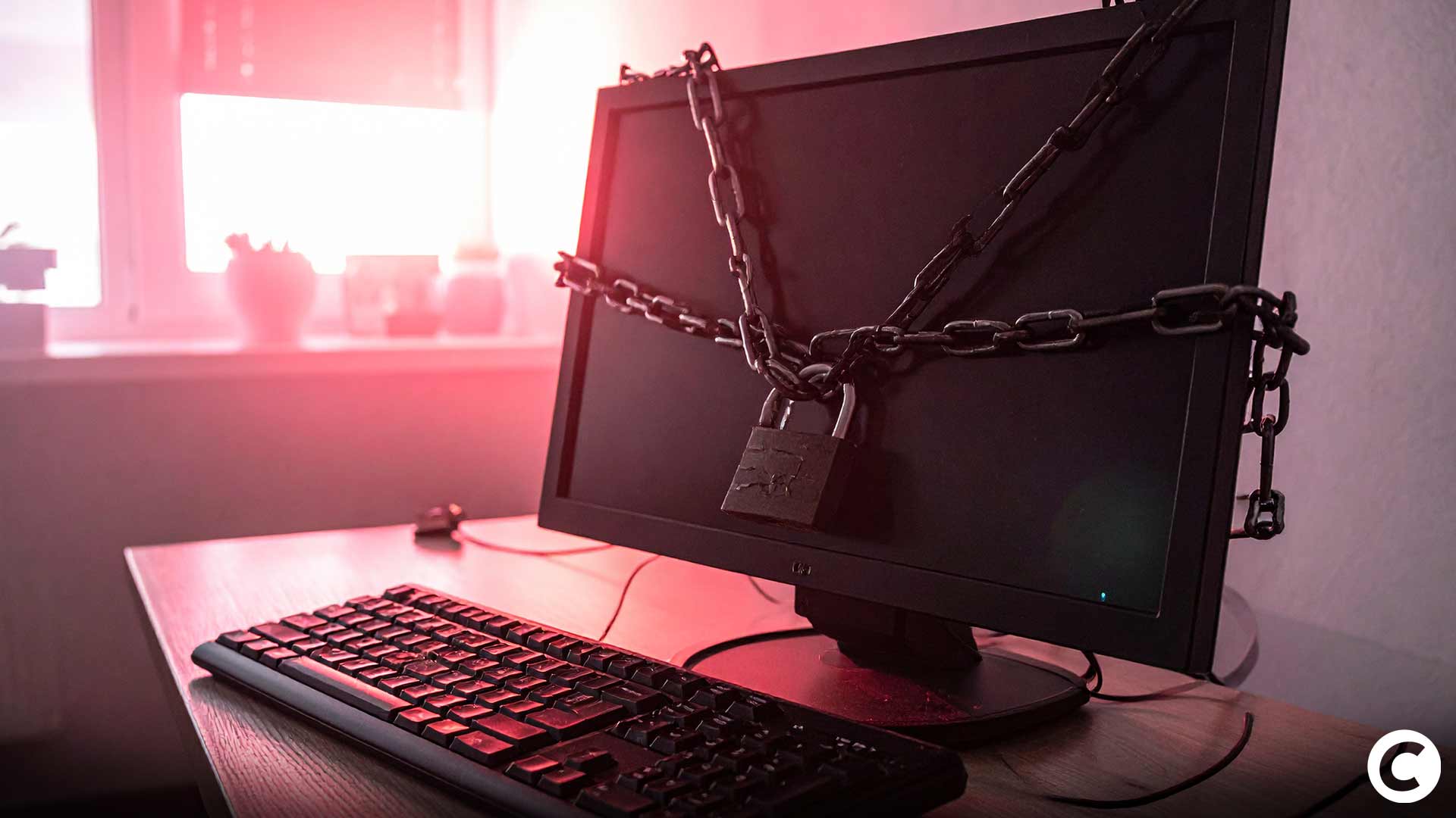 Exchange crypto en faillite aux Pays-Bas : 12 millions investis, seulement 2 millions retrouvés Exchange crypto en faillite aux Pays-Bas : 12 millions investis, seulement 2 millions retrouvés