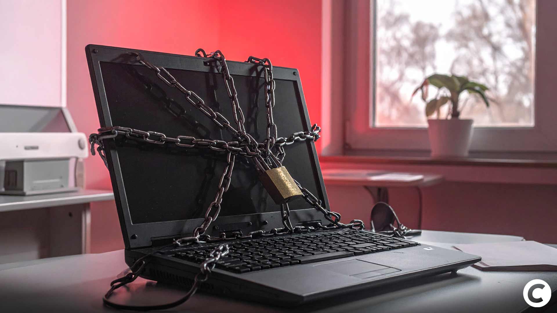Aave fait le ménage : 6 blockchains et 50 actifs supprimés Aave fait le ménage : 6 blockchains et 50 actifs supprimés