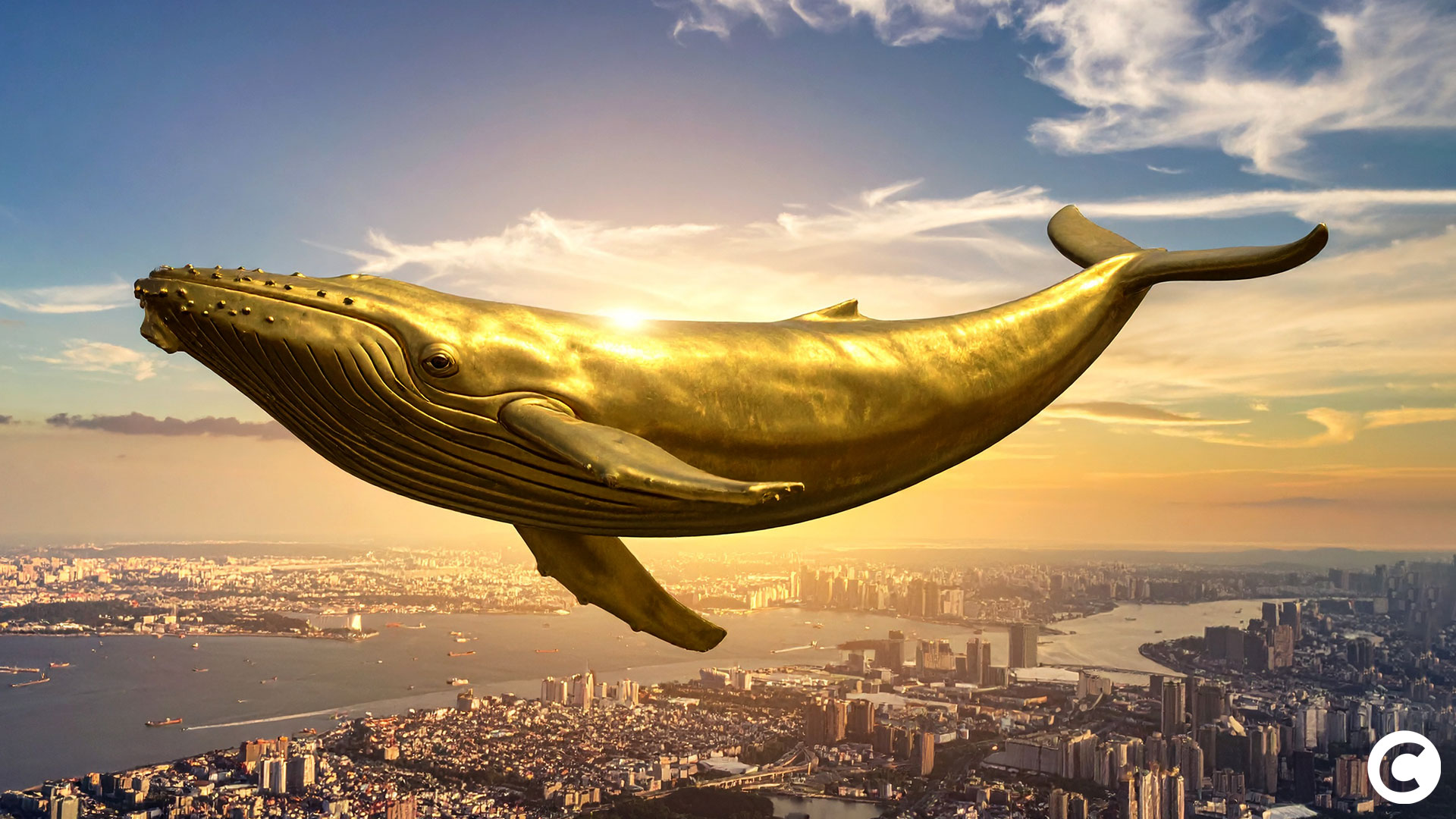 Bitcoin : Les baleines à l’arrêt ? La demande de BTC ralentit selon CryptoQuant